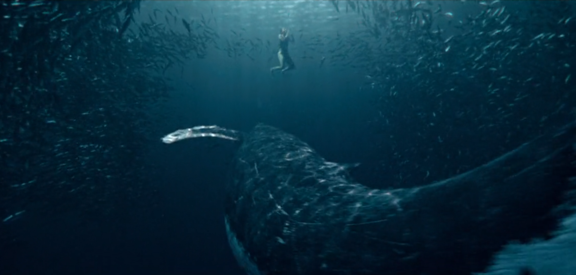 ICON Films — Apple Watch campaign